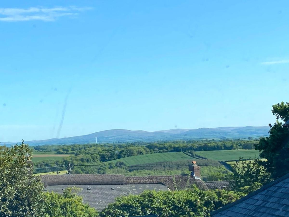 Higher Primrose Cottage Winkleigh Bagian luar foto
